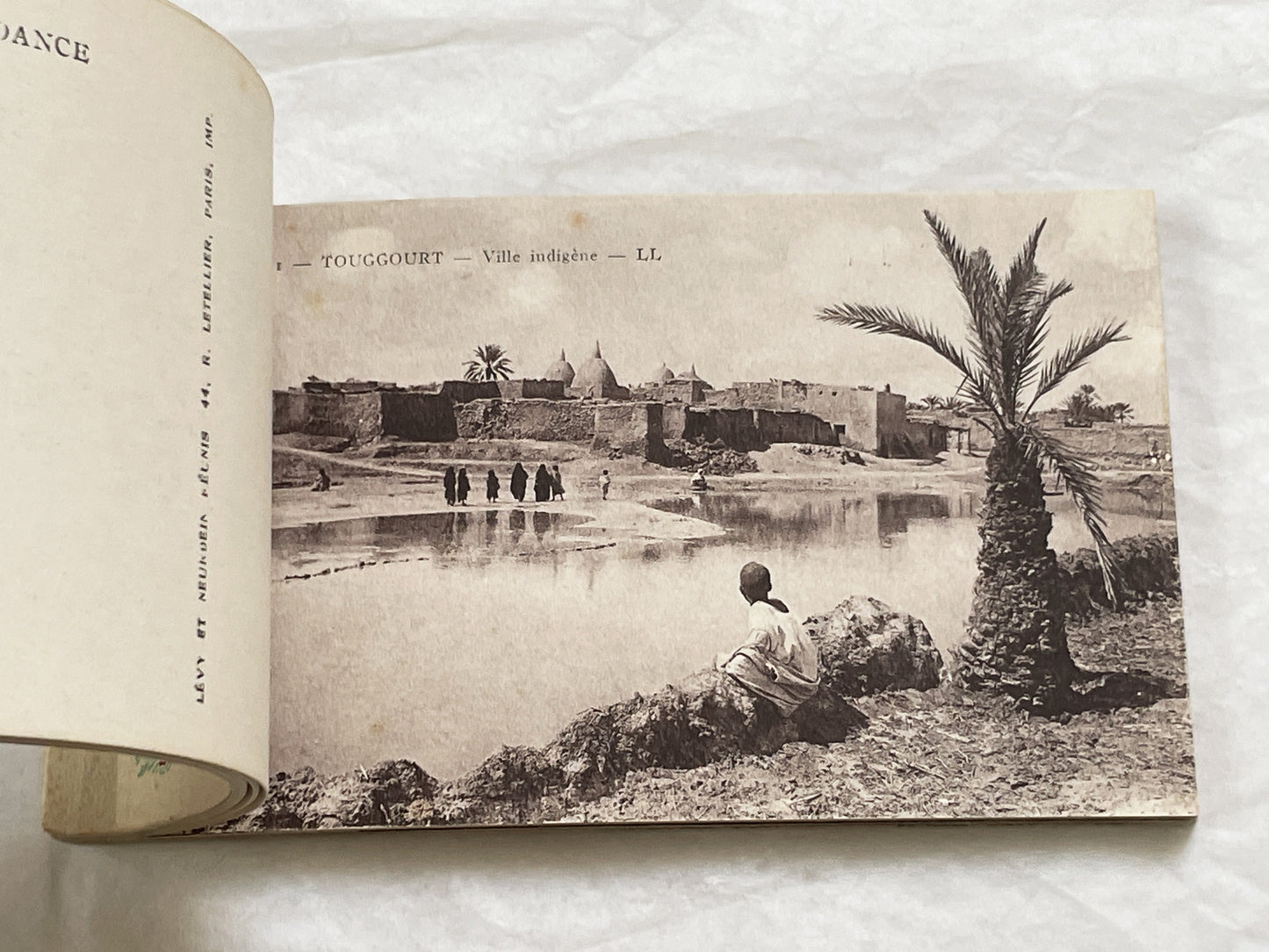1910s - Touggourt Postcard Booklet - Vintage North African Photos - Algerian Oasis Scenes - Historical Travel Souvenir Album