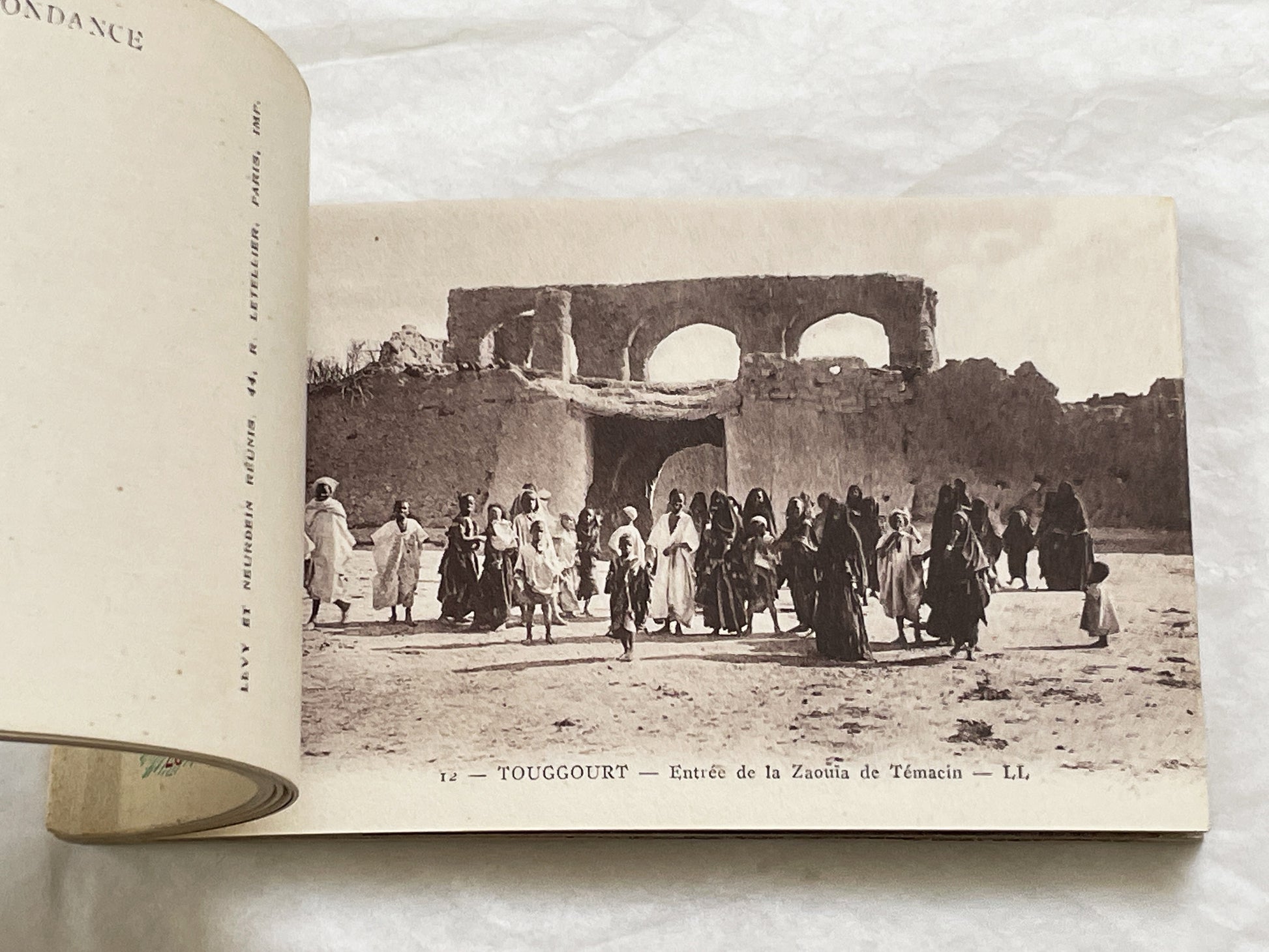1910s - Touggourt Postcard Booklet - Vintage North African Photos - Algerian Oasis Scenes - Historical Travel Souvenir Album