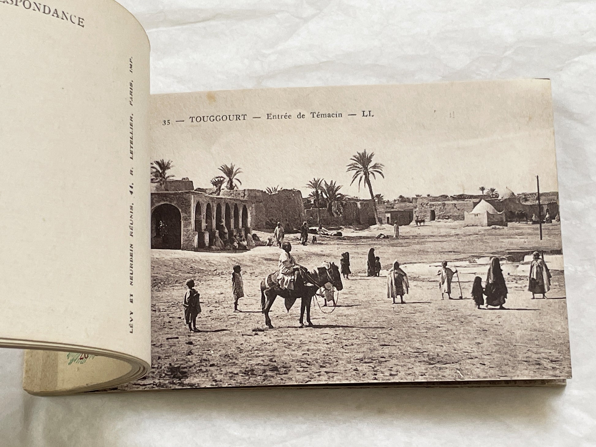 1910s - Touggourt Postcard Booklet - Vintage North African Photos - Algerian Oasis Scenes - Historical Travel Souvenir Album