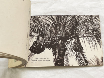 1910s - Touggourt Postcard Booklet - Vintage North African Photos - Algerian Oasis Scenes - Historical Travel Souvenir Album