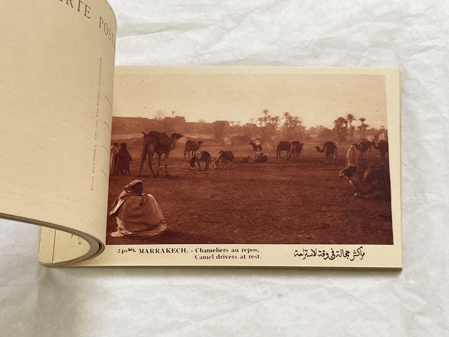 1920s - Marrakesh Heliogravure Postcard Booklet - Vintage Morocco Travel Souvenir - Photography - Historic African City Scapes and Culture