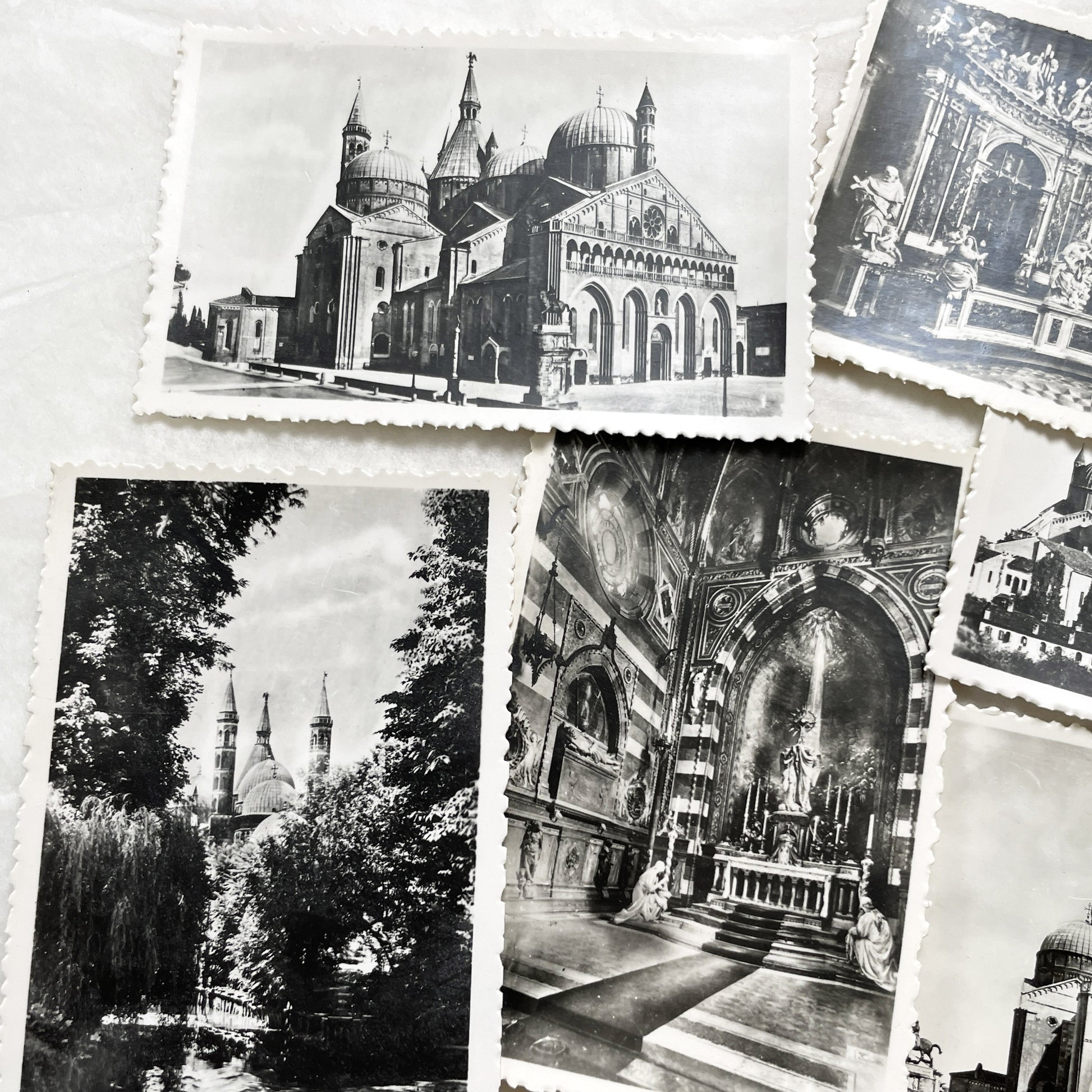 1950s - Vintage Padova City Black and White Photo Collection - Italian Souvenir Photography Set - Historical Landmarks - Belfoto Milano