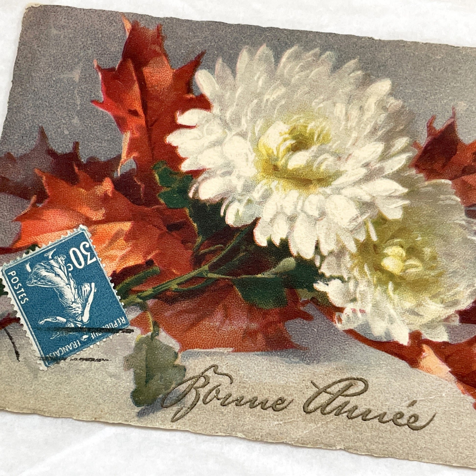 1900s - Antique French New Year Postcard - Vintage Floral Chrysanthemum Art - Autumn Leaves Greeting Card - Collectible Old Paper Ephemera