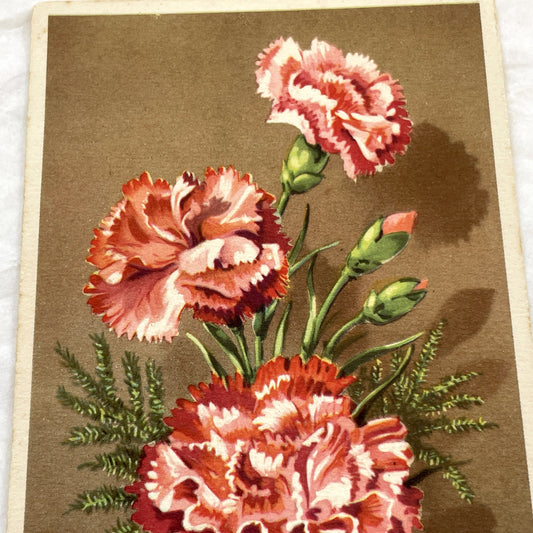 1900s - Antique Floral Postcard - Vibrant Red Carnation Bouquet - Vintage Flower Art Collectible - Edwardian Era Ephemera Decor
