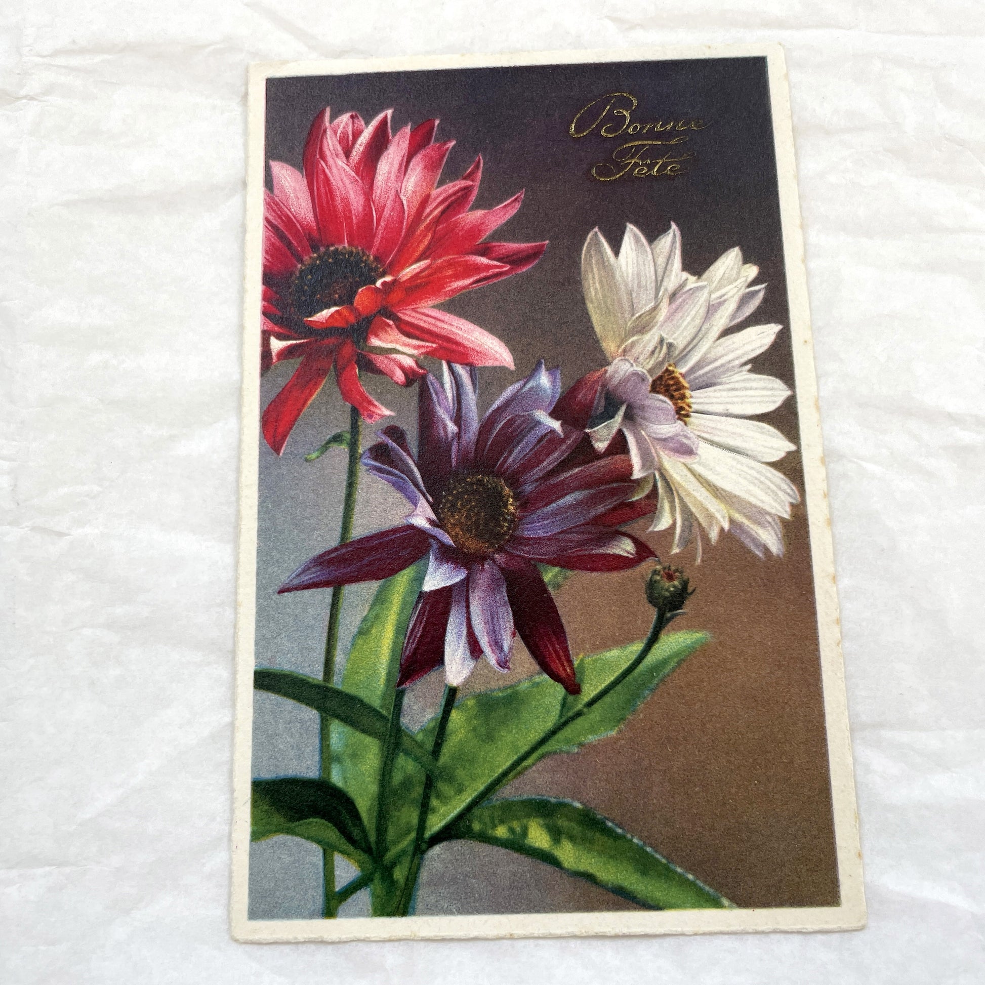 1930s - Antique French Bonne Fête Postcard - Vibrant Floral Celebration Greeting Card - Collectible Vintage Flower Art Nouveau Era
