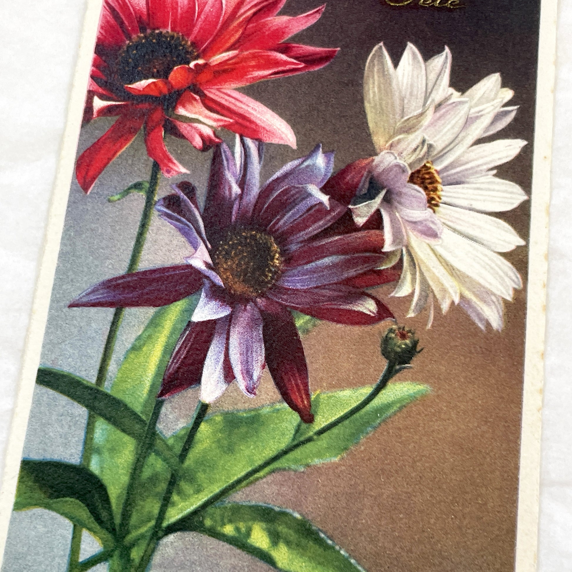 1930s - Antique French Bonne Fête Postcard - Vibrant Floral Celebration Greeting Card - Collectible Vintage Flower Art Nouveau Era