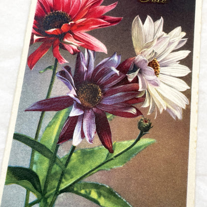 1930s - Antique French Bonne Fête Postcard - Vibrant Floral Celebration Greeting Card - Collectible Vintage Flower Art Nouveau Era