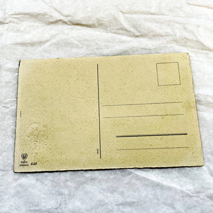 1930s - Antique French Bonne Fête Postcard - Vibrant Floral Celebration Greeting Card - Collectible Vintage Flower Art Nouveau Era