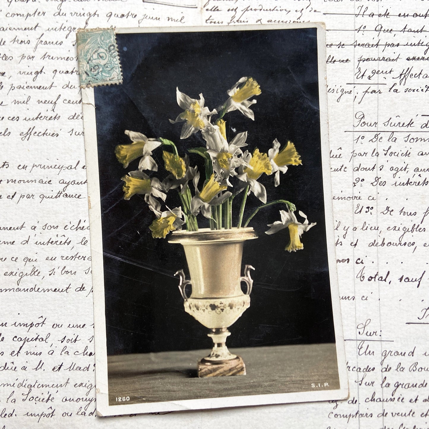 1910s - Vintage French Postcard - Daffodils Bouquet Vase - Floral Still Life - Photography - Collectible Flower Art