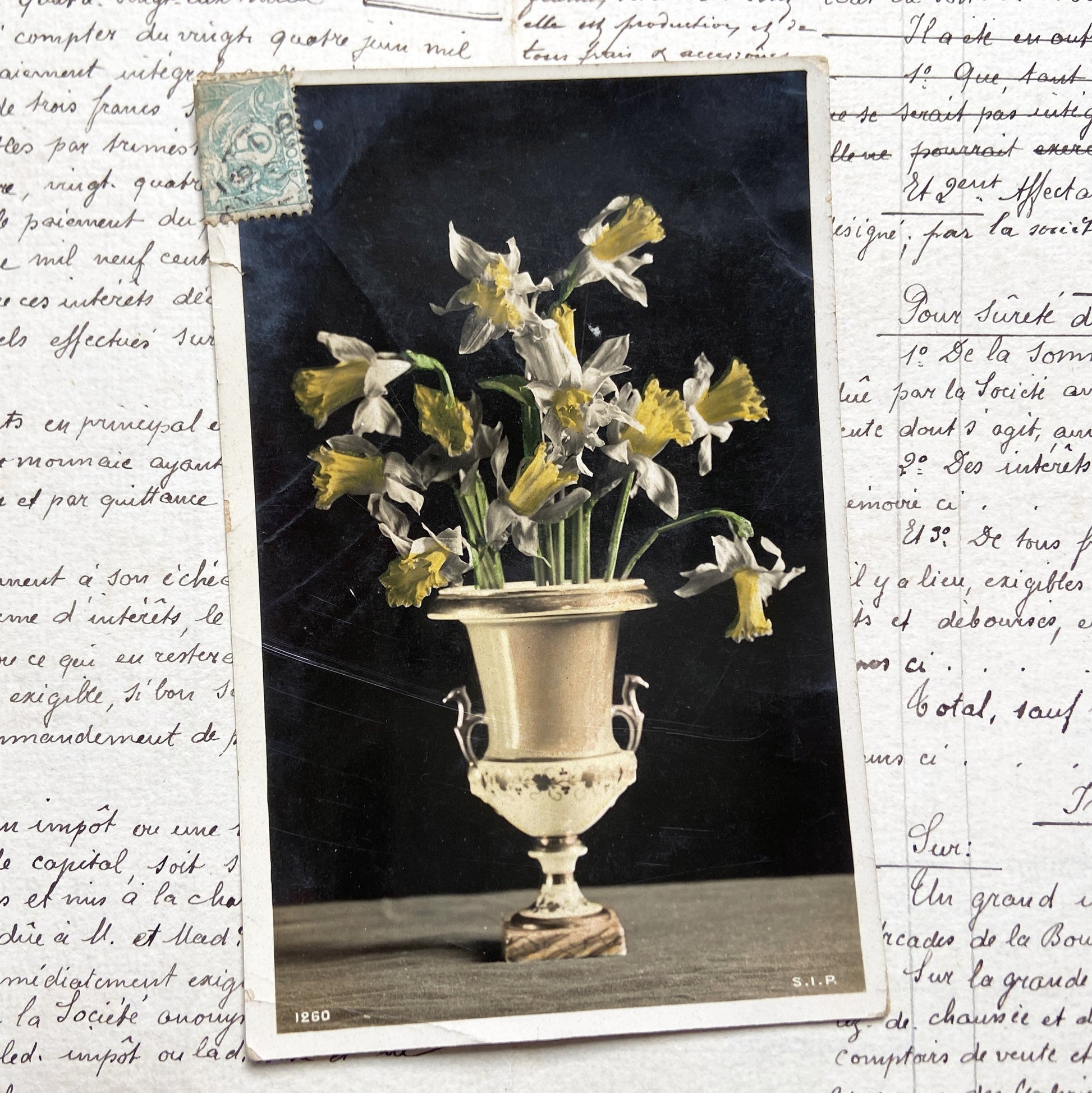 1910s - Vintage French Postcard - Daffodils Bouquet Vase - Floral Still Life - Photography - Collectible Flower Art