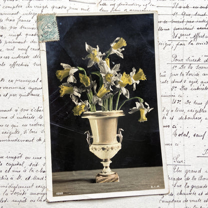 1910s - Vintage French Postcard - Daffodils Bouquet Vase - Floral Still Life - Photography - Collectible Flower Art