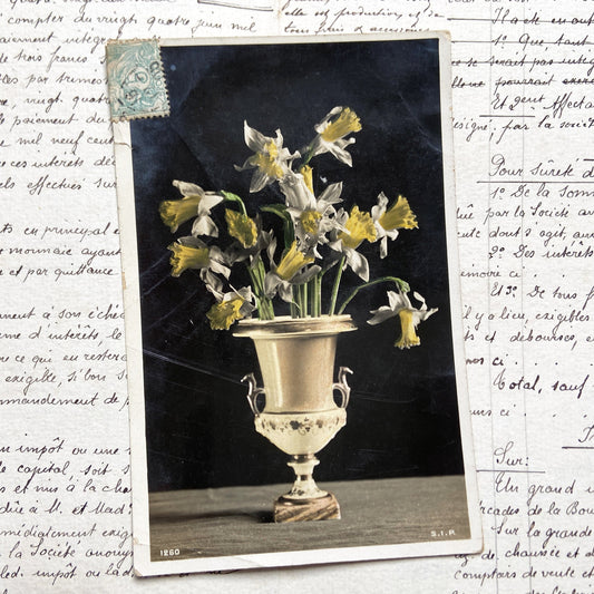 1910s - Vintage French Postcard - Daffodils Bouquet Vase - Floral Still Life - Photography - Collectible Flower Art