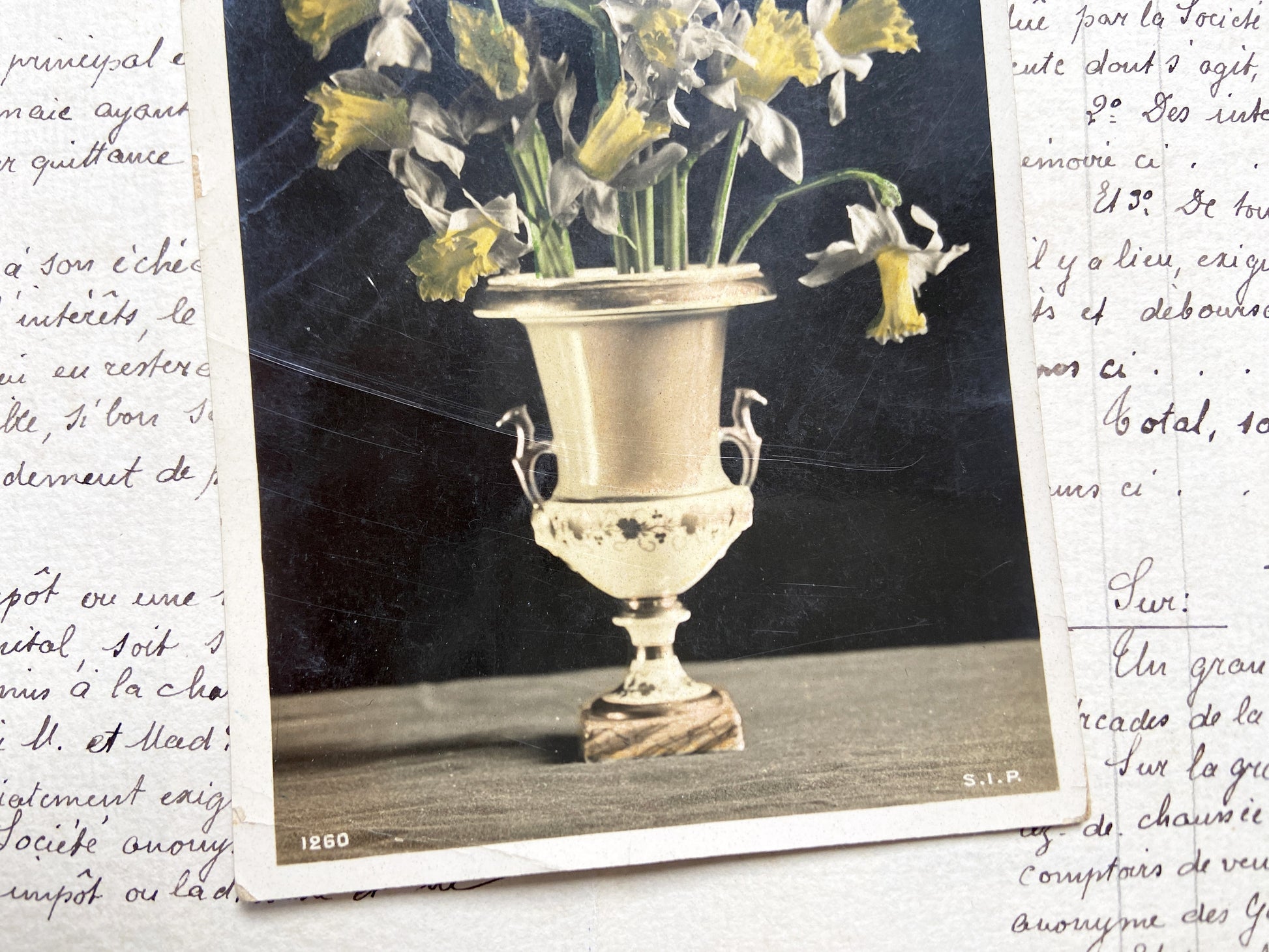 1910s - Vintage French Postcard - Daffodils Bouquet Vase - Floral Still Life - Photography - Collectible Flower Art
