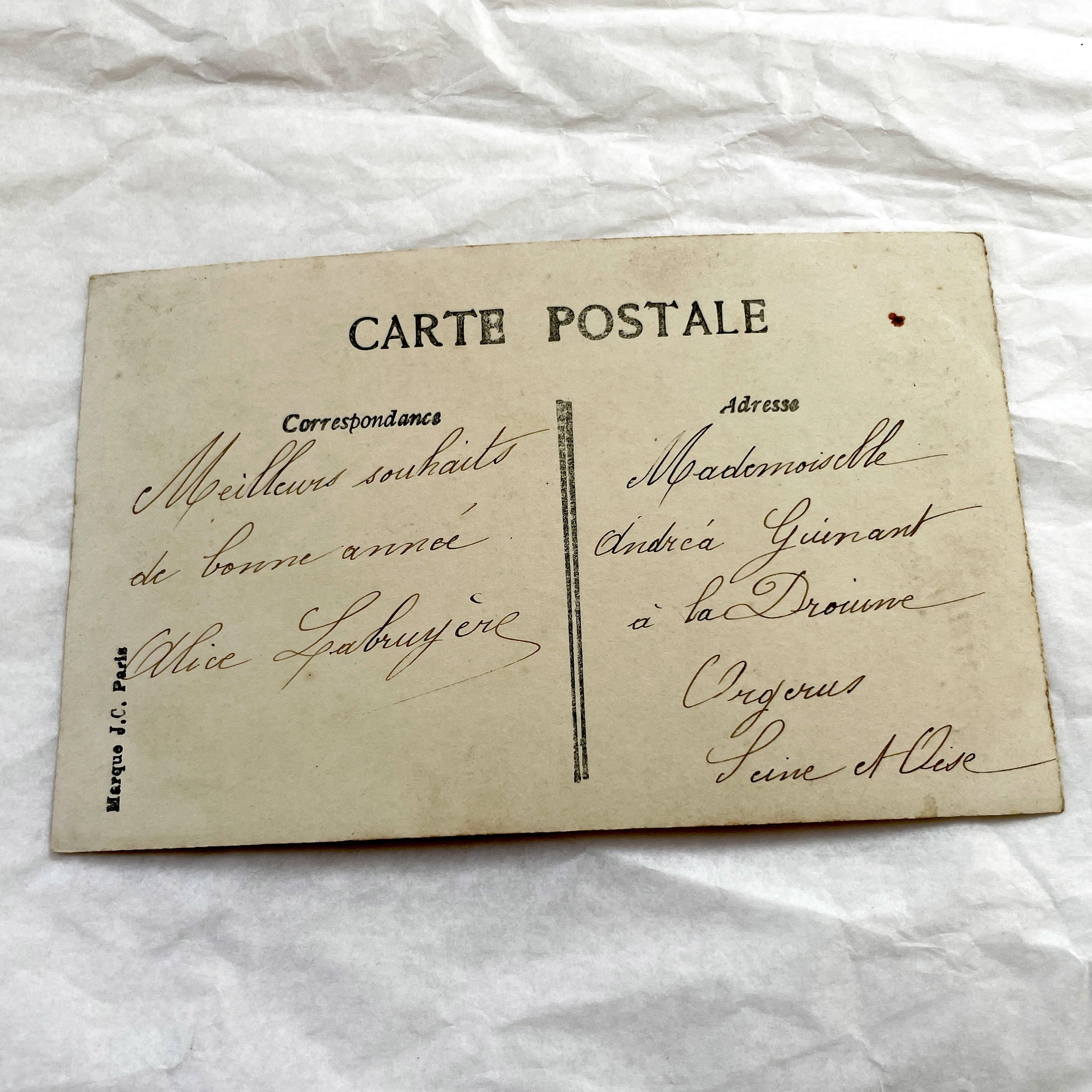1910s - French Art Nouveau Postcard - Elegant Woman Portrait - Hand-Tinted Roses Ribbon Design - Parisian Publisher Vintage Collectible