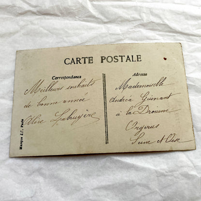 1910s - French Art Nouveau Postcard - Elegant Woman Portrait - Hand-Tinted Roses Ribbon Design - Parisian Publisher Vintage Collectible