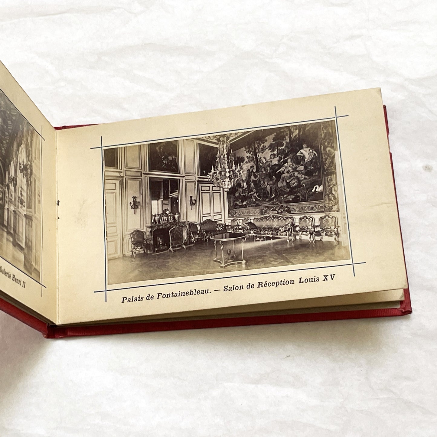 1900s - Vintage Photo Album - Souvenir of Fontainebleau Palace and Forest Views - Historic French Landmark Photography Collection