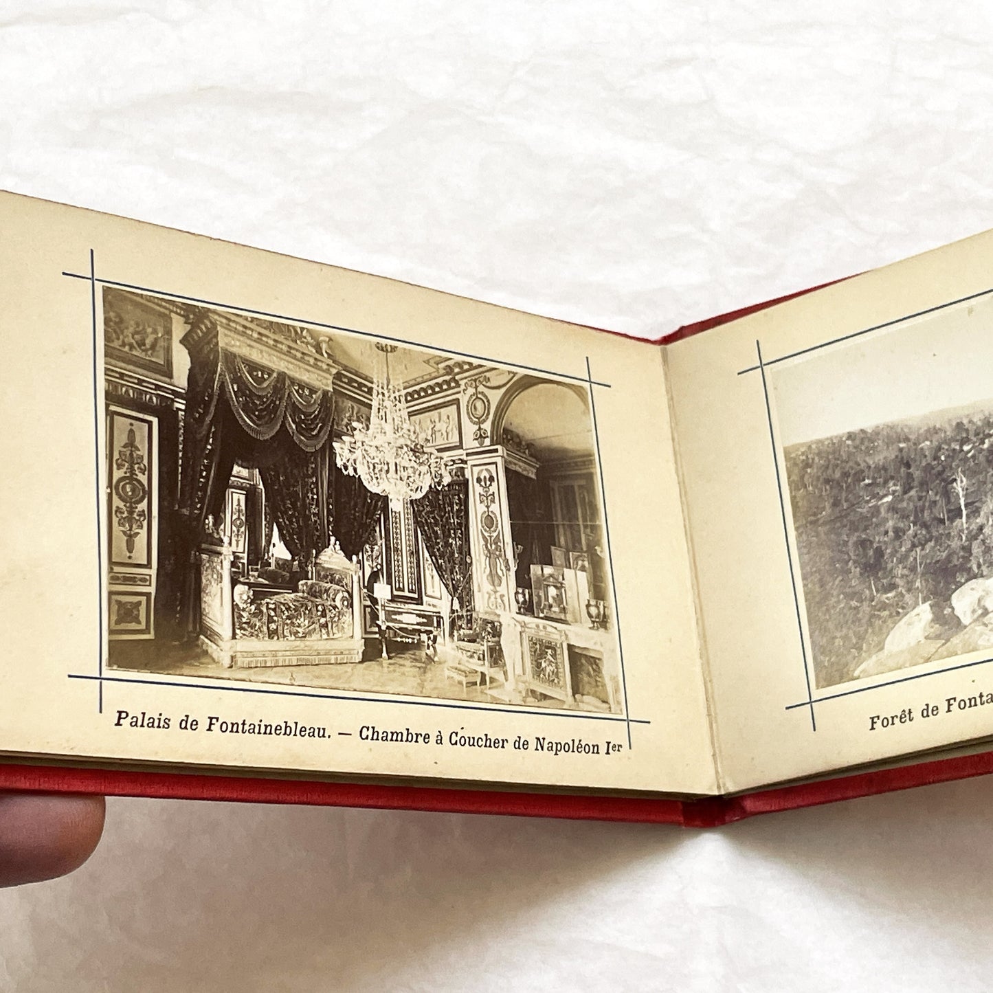 1900s - Vintage Photo Album - Souvenir of Fontainebleau Palace and Forest Views - Historic French Landmark Photography Collection