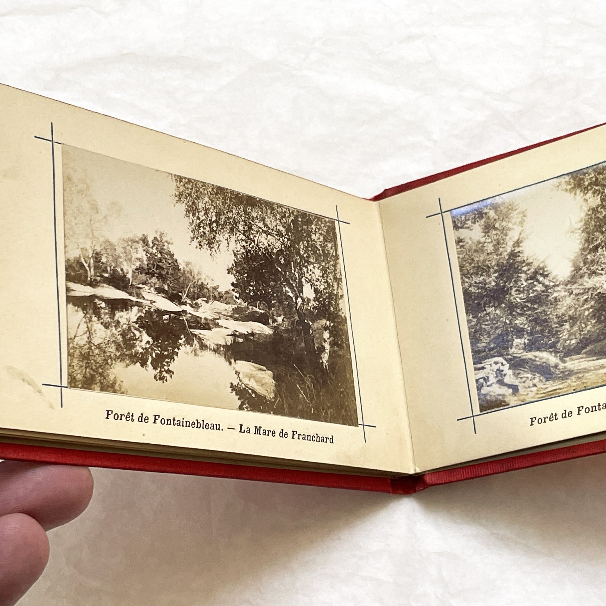 1900s - Vintage Photo Album - Souvenir of Fontainebleau Palace and Forest Views - Historic French Landmark Photography Collection