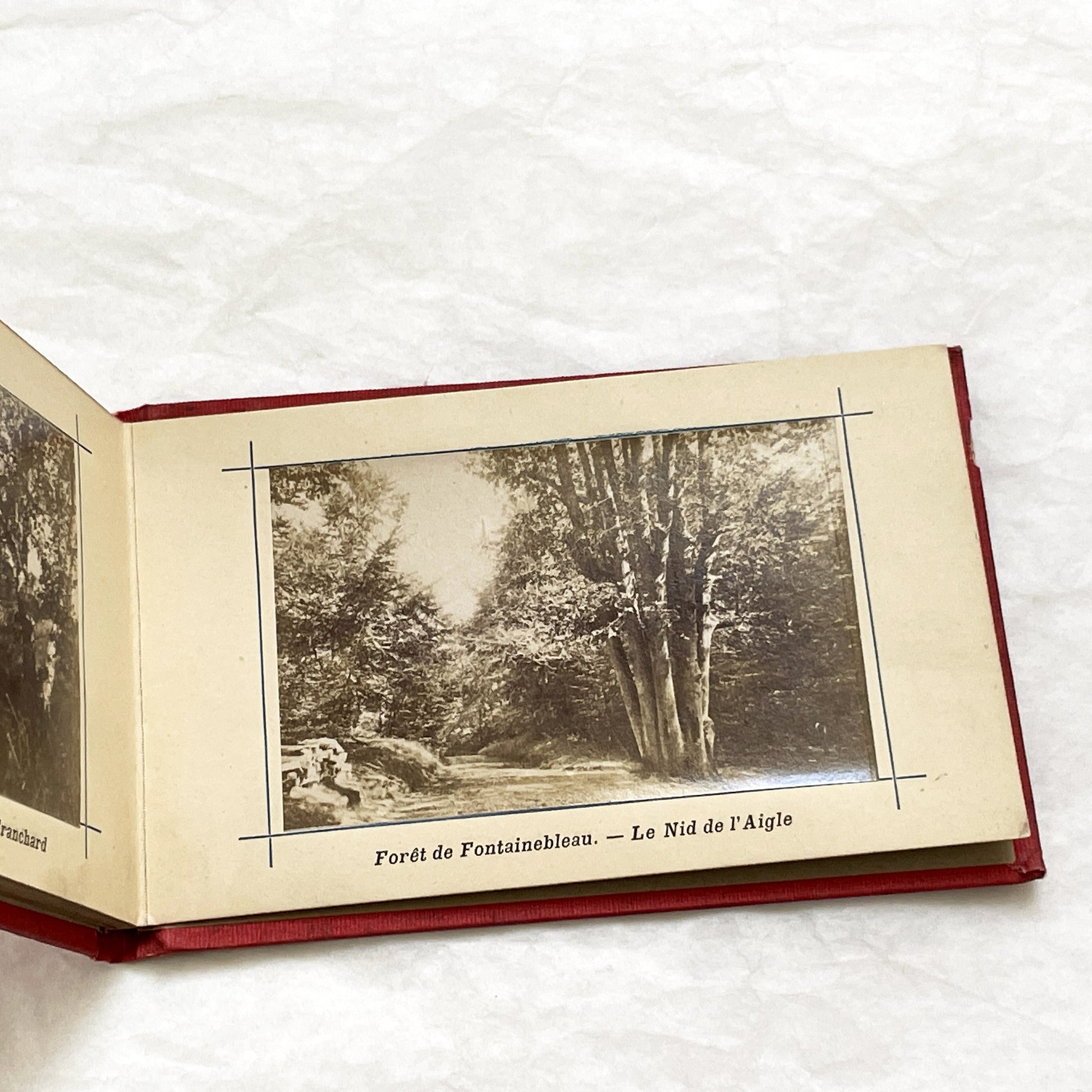 1900s - Vintage Photo Album - Souvenir of Fontainebleau Palace and Forest Views - Historic French Landmark Photography Collection