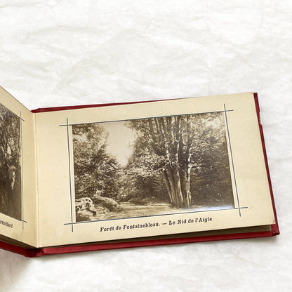 1900s - Vintage Photo Album - Souvenir of Fontainebleau Palace and Forest Views - Historic French Landmark Photography Collection