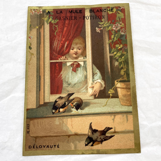 Late 19th Century - Large Chromo Advertising Card - Child Feeding Birds - La Mule Blanche Gasnier Potiron - Whimsical Déloyauté Art Print