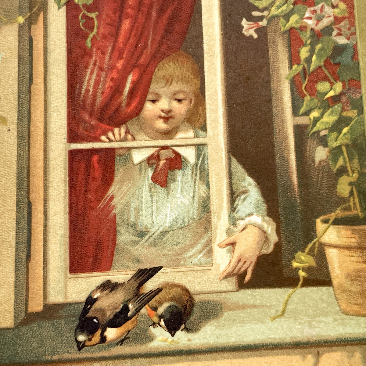 Late 19th Century - Large Chromo Advertising Card - Child Feeding Birds - La Mule Blanche Gasnier Potiron - Whimsical Déloyauté Art Print