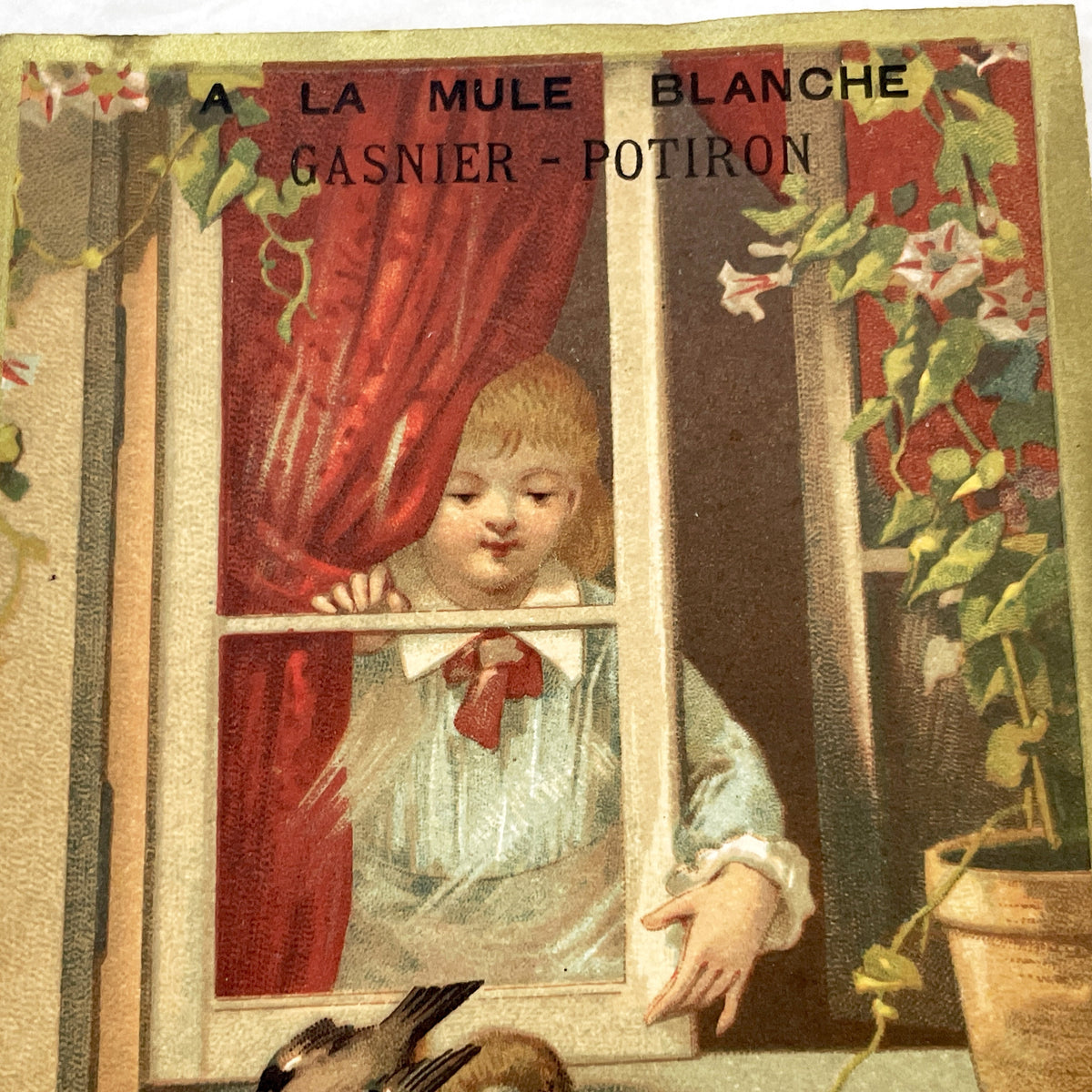 Late 19th Century - Large Chromo Advertising Card - Child Feeding Birds - La Mule Blanche Gasnier Potiron - Whimsical Déloyauté Art Print