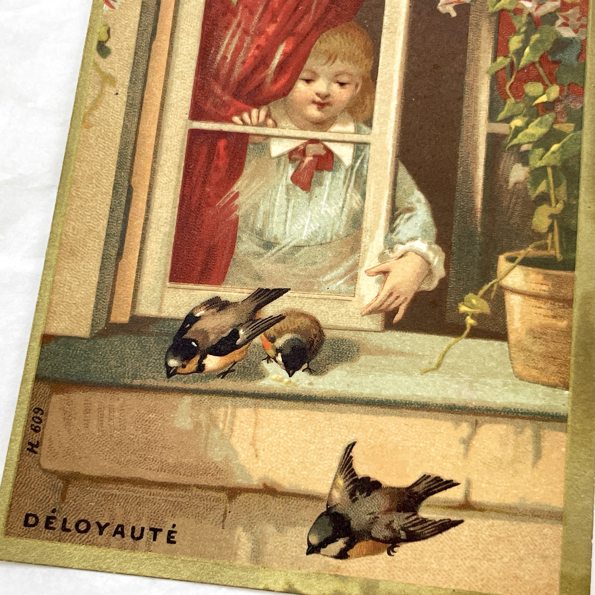 Late 19th Century - Large Chromo Advertising Card - Child Feeding Birds - La Mule Blanche Gasnier Potiron - Whimsical Déloyauté Art Print
