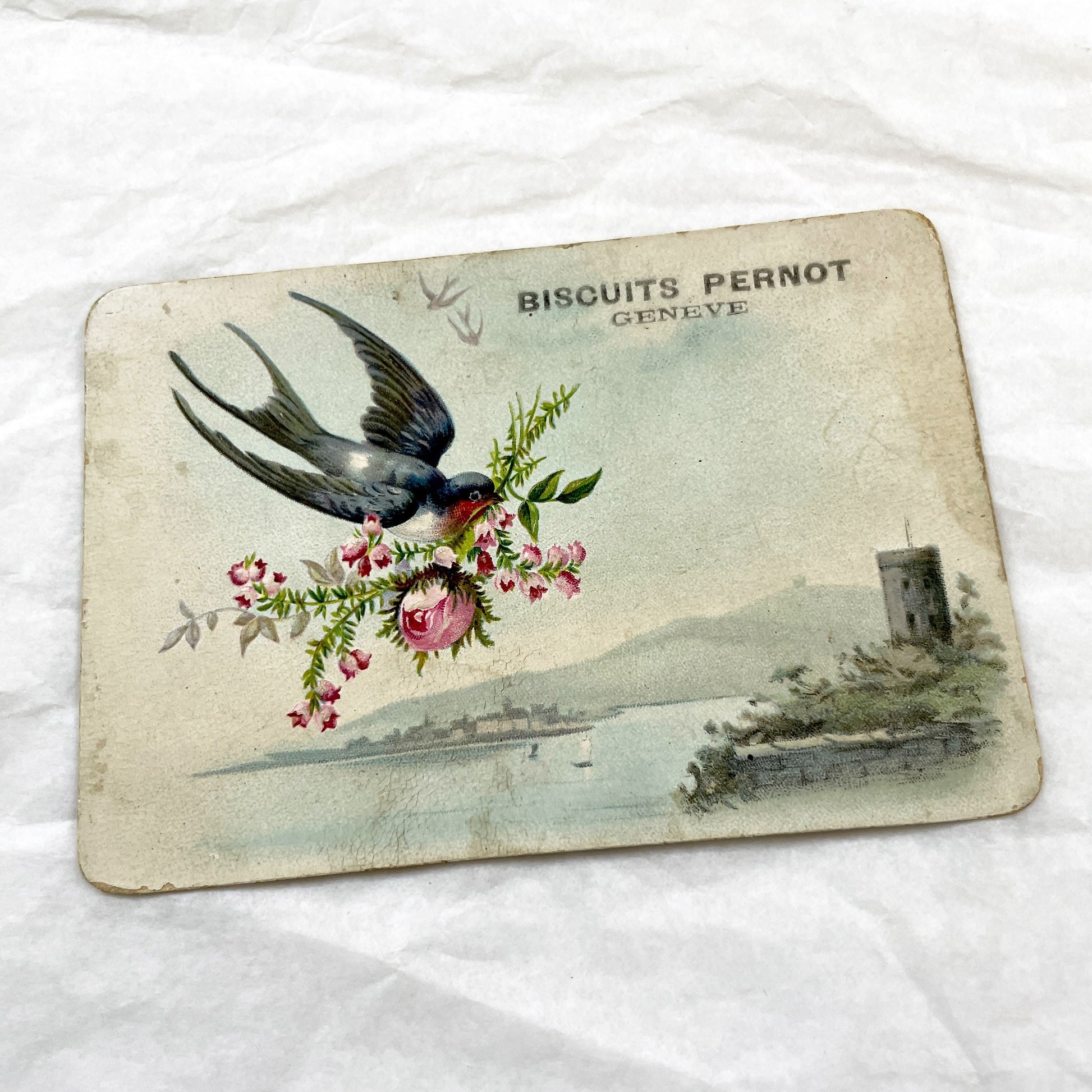 Late 19th - Biscuits Pernot Advertising Card Geneva - Vintage Chromo Trade Card Lake Geneva Swallows Roses - Collectible Ephemera Art