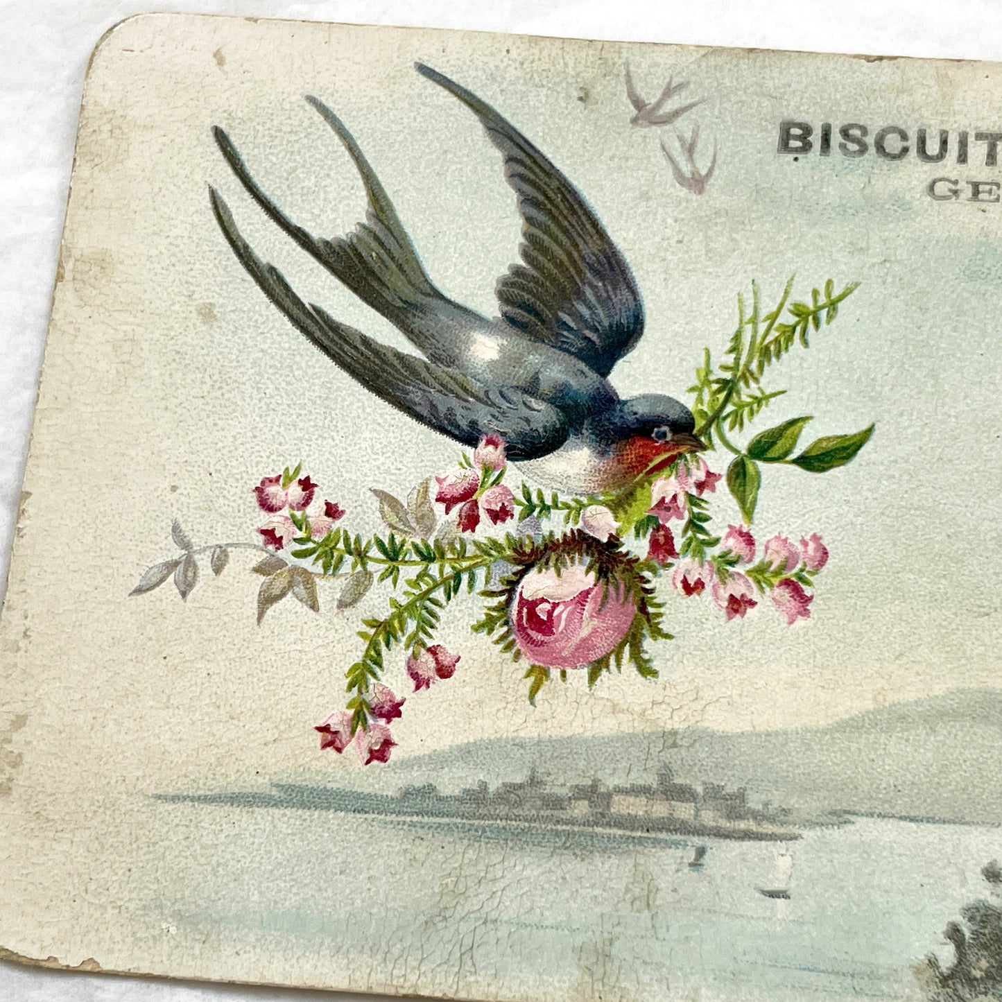 Late 19th - Biscuits Pernot Advertising Card Geneva - Vintage Chromo Trade Card Lake Geneva Swallows Roses - Collectible Ephemera Art