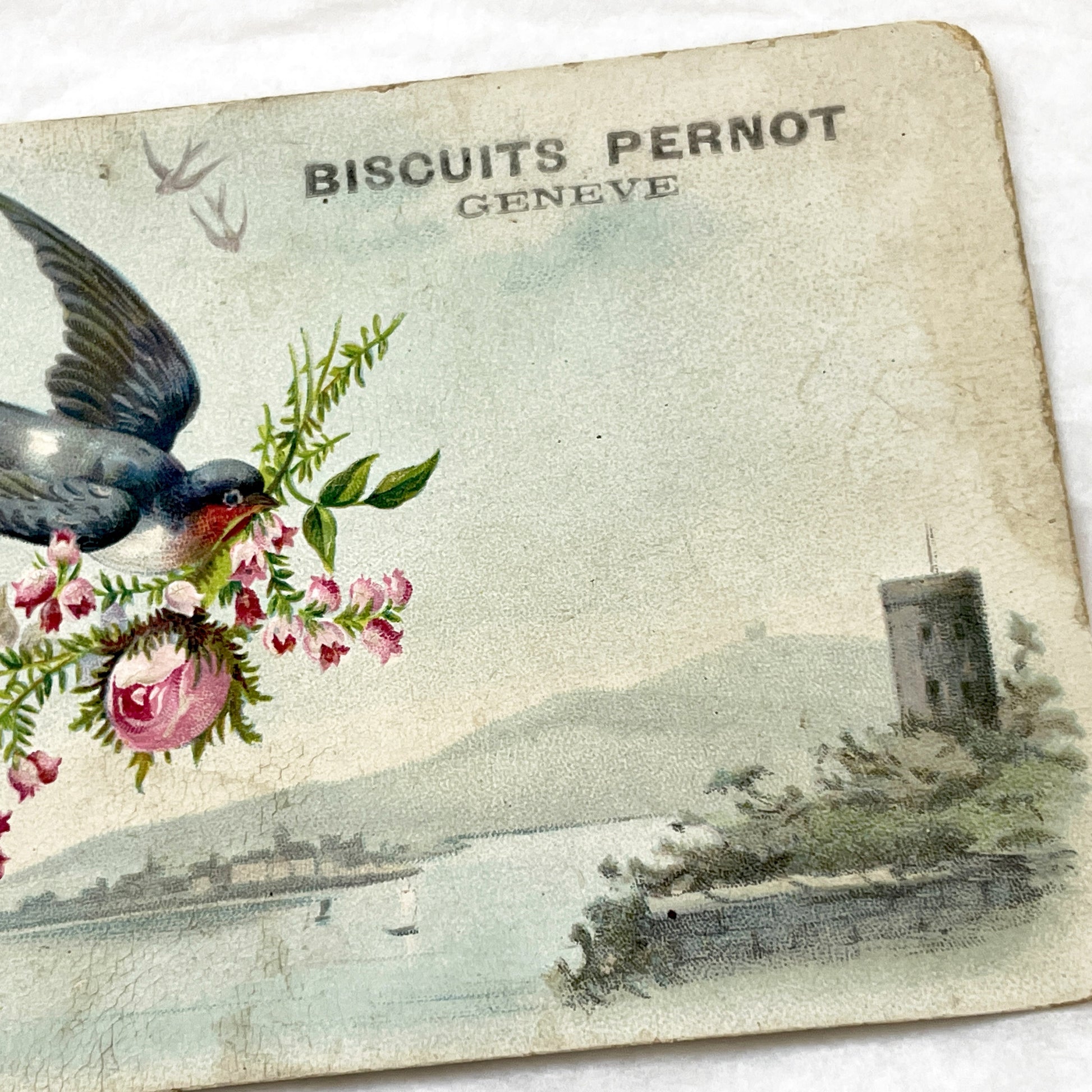Late 19th - Biscuits Pernot Advertising Card Geneva - Vintage Chromo Trade Card Lake Geneva Swallows Roses - Collectible Ephemera Art