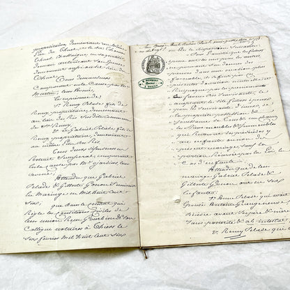 Mid 19th - 28-page Antique French Legal Document - Handwritten Judicial Records from 1862 - Civil Tribunal Case - Historic Collectible Paper