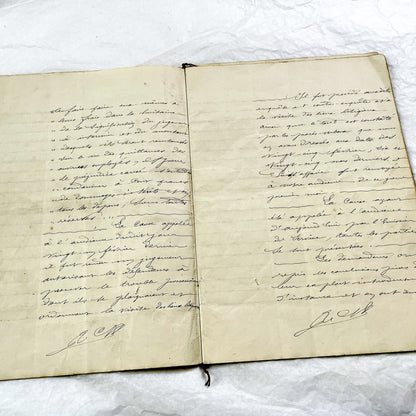 Late 19th Century - French Legal Document - Final Judgment for Property Dispute - Historic Legal Record - 1896