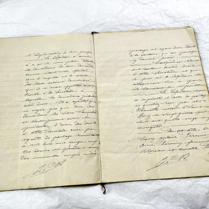 Late 19th Century - French Legal Document - Final Judgment for Property Dispute - Historic Legal Record - 1896