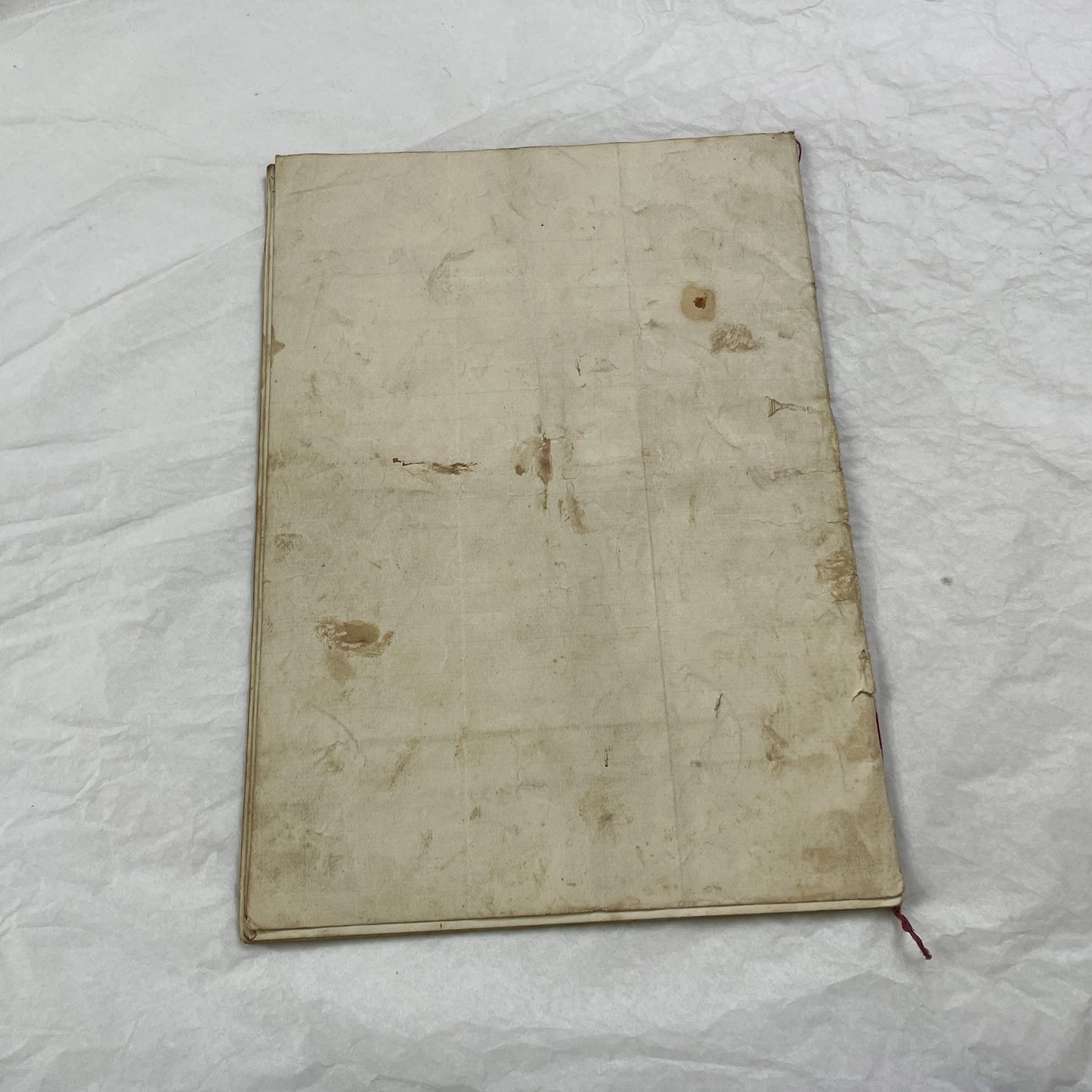 Late 19th Century - French Legal Document - Final Judgment for Property Dispute - Historic Legal Record - 1896