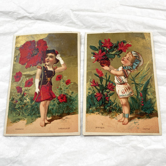 Late 19th Century - Two French & African Chromo Cards - Children, Flowers, Gold Accents - Vintage Collectible Pair