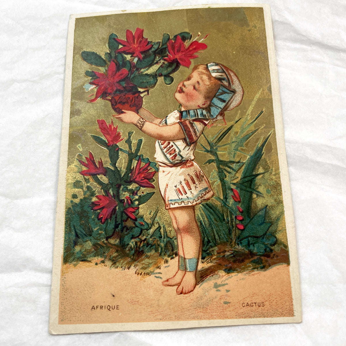 Late 19th Century - Two French & African Chromo Cards - Children, Flowers, Gold Accents - Vintage Collectible Pair