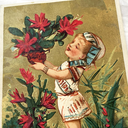Late 19th Century - Two French & African Chromo Cards - Children, Flowers, Gold Accents - Vintage Collectible Pair