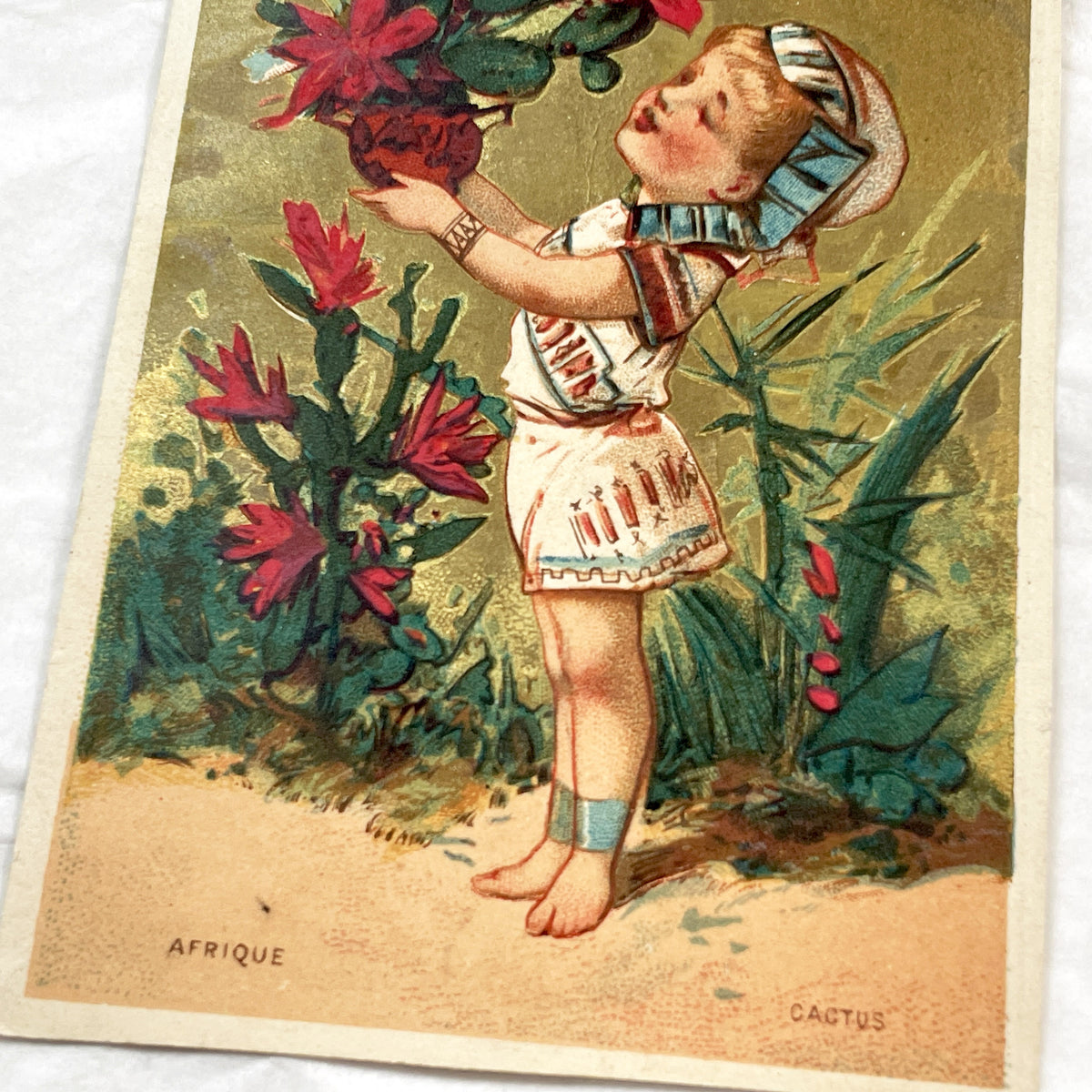 Late 19th Century - Two French & African Chromo Cards - Children, Flowers, Gold Accents - Vintage Collectible Pair