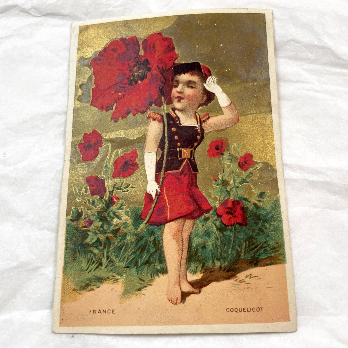 Late 19th Century - Two French & African Chromo Cards - Children, Flowers, Gold Accents - Vintage Collectible Pair