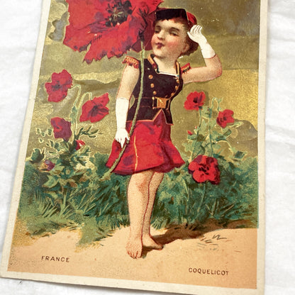 Late 19th Century - Two French & African Chromo Cards - Children, Flowers, Gold Accents - Vintage Collectible Pair