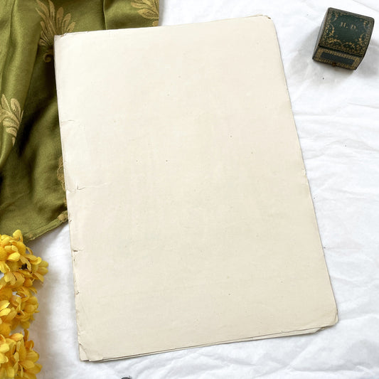 1870s - Exquisite French Fashion Print from Journal des Demoiselles - Original 1875 Engraving - Elegant Parisian Ladies and Greyhound Dog