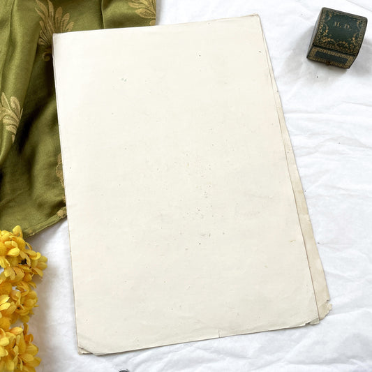 1860s - Original Hand-Colored French Fashion Plate - Journal des Demoiselles - Victorian Era Parisian Haute Couture Gown Illustration