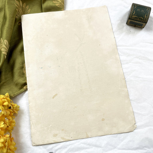 1880s - Original French Fashion Plate - Journal des Demoiselles - Hand-Colored Victorian Era Style Engraving - Fashion Paris