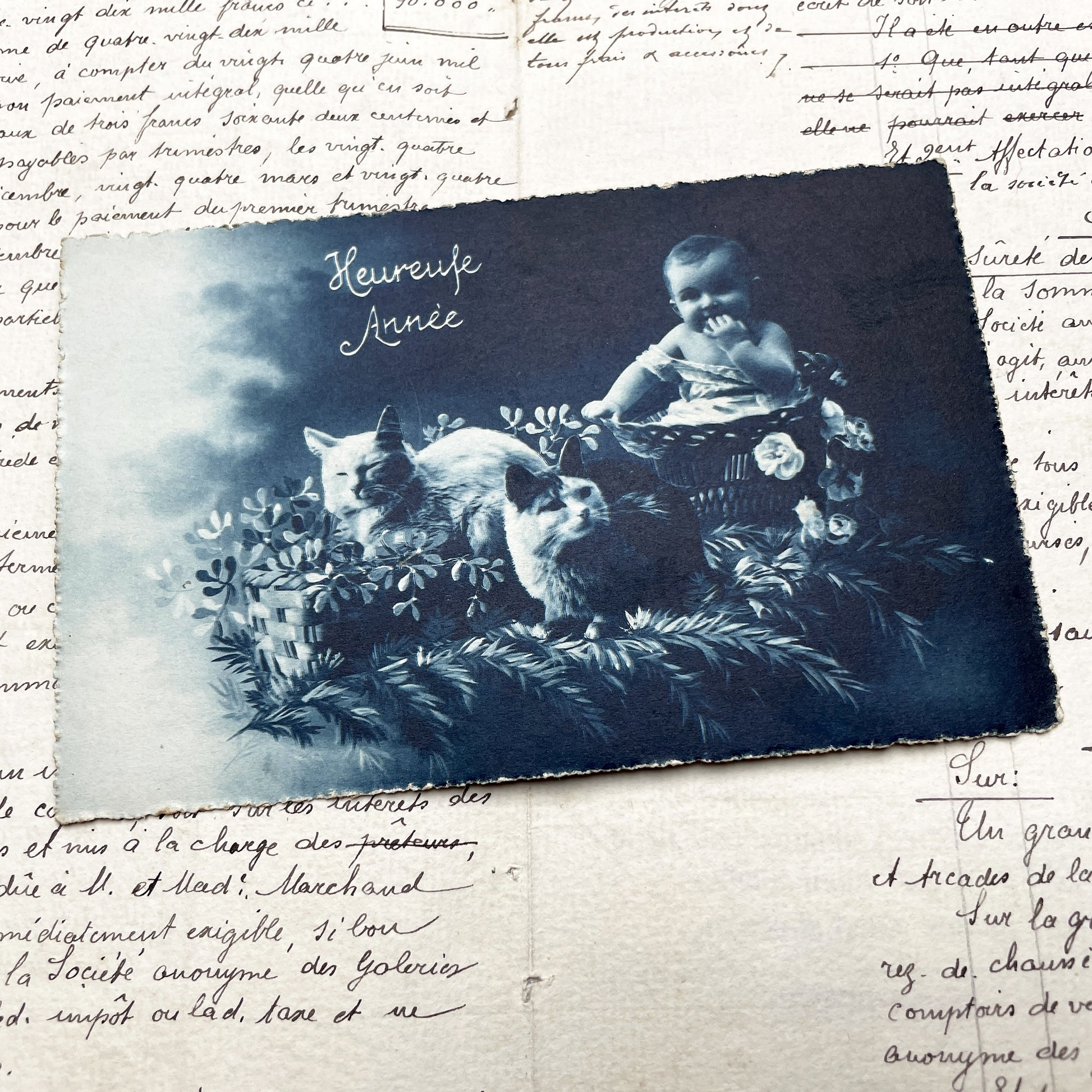 1920s - Antique Cyanotype Print - Happy New Year Greeting Card - Baby Kitten Cats Motif - Unique Ephemera Art