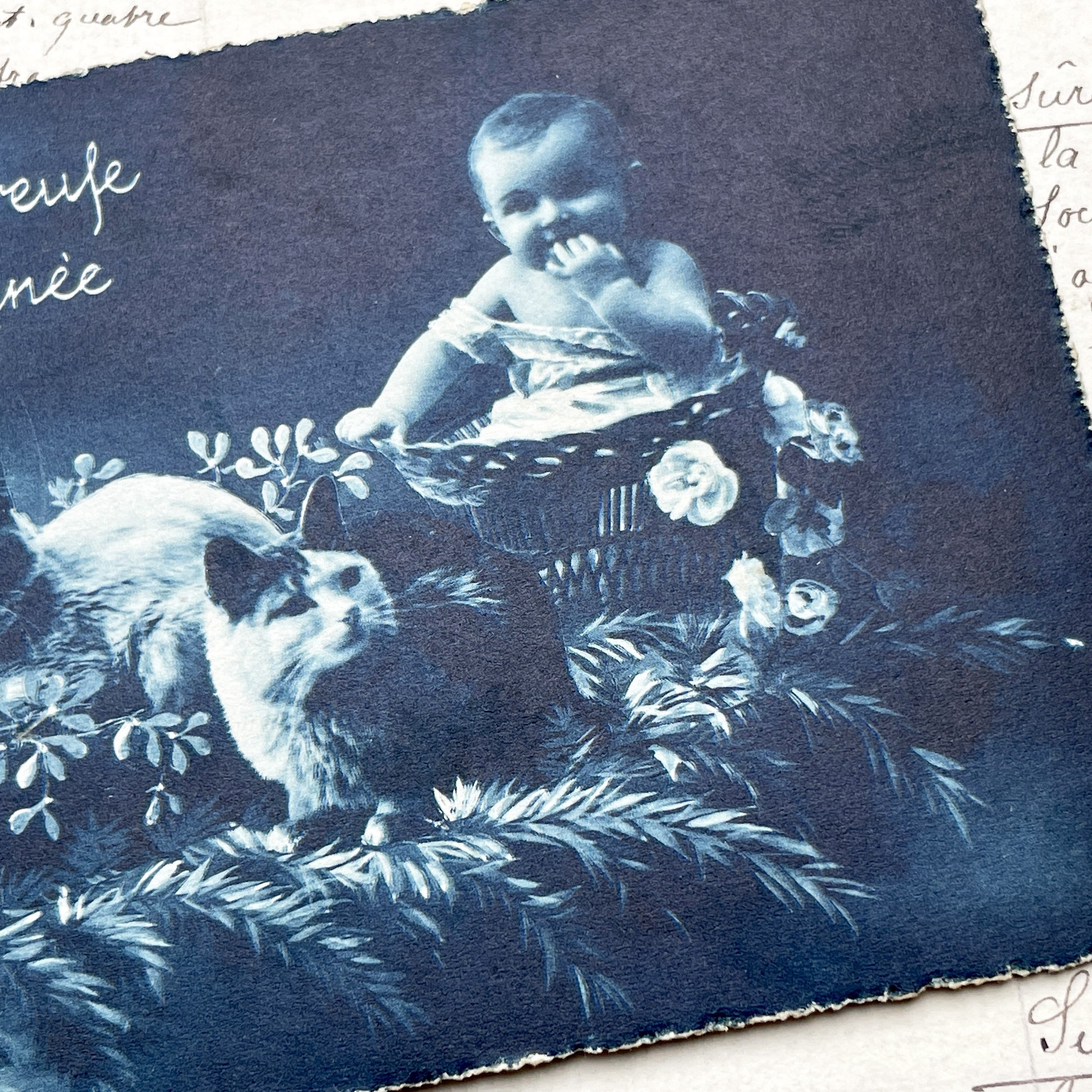 1920s - Antique Cyanotype Print - Happy New Year Greeting Card - Baby Kitten Cats Motif - Unique Ephemera Art