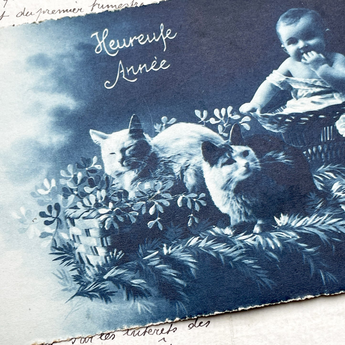 1920s - Antique Cyanotype Print - Happy New Year Greeting Card - Baby Kitten Cats Motif - Unique Ephemera Art