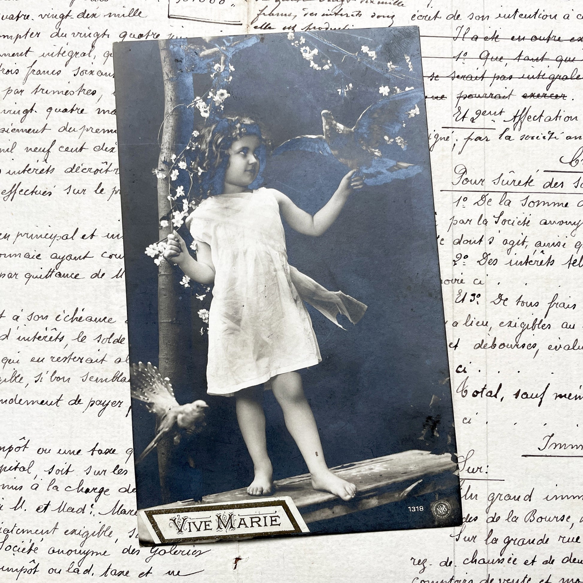 1900s - Vintage French Postcard - Young Girl with Doves - Barefoot Child Portrait - Antique Photo - Vive Marie - Innocence - Floral Scene