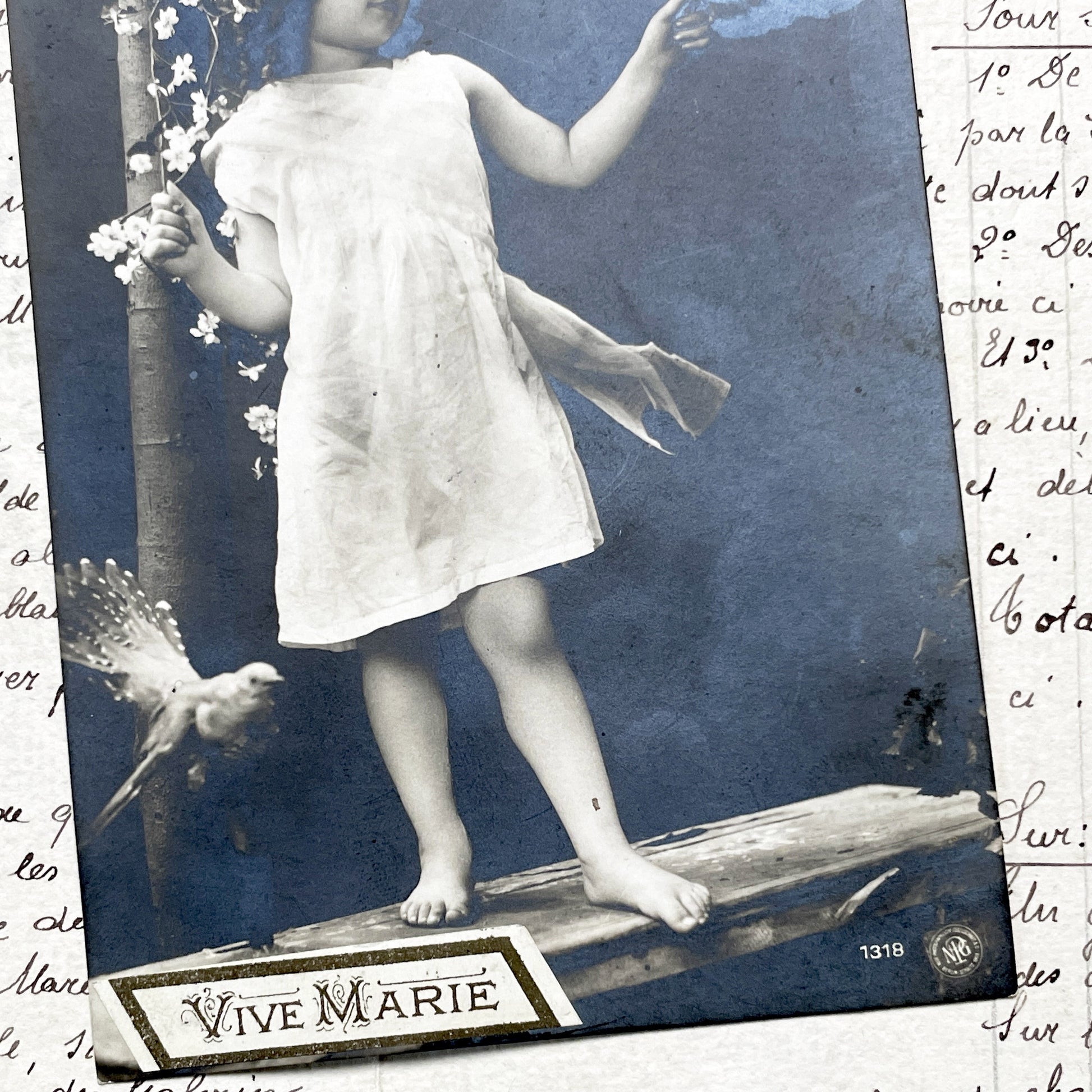 1900s - Vintage French Postcard - Young Girl with Doves - Barefoot Child Portrait - Antique Photo - Vive Marie - Innocence - Floral Scene