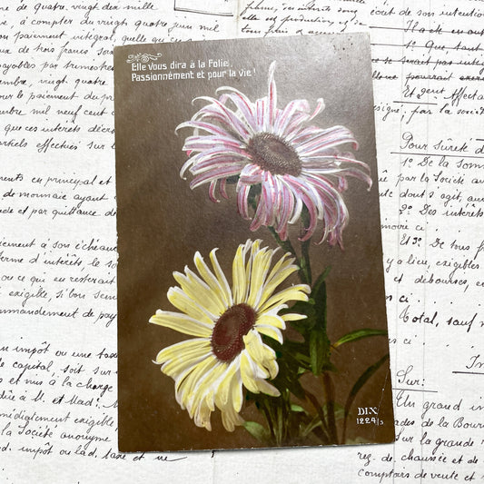1920s - French Daisy Postcard - Vintage Floral Love Message - Romantic Flower Art - Antique Collectible Sentimental Ephemera Decor